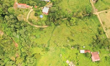 ESPECTACULAR LOTE PARA URBANIZAR EN SILVANIA