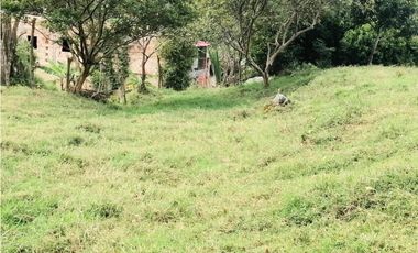 ESPECTACULAR LOTE PARA URBANIZAR EN SILVANIA