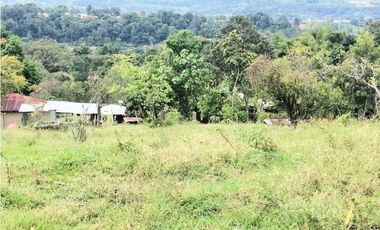 ESPECTACULAR LOTE PARA URBANIZAR EN SILVANIA