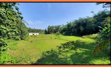 Kavling 14 menit Kopi Ampirono Promo Launching ,Srategis