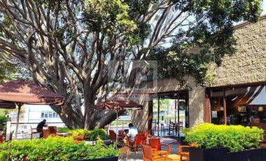 Local Comercial en renta en Av. Zapata, Cuernavaca