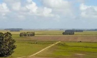 Excelente estancia, campo agrícola ganadero  - Castillos, Rocha Uruguay