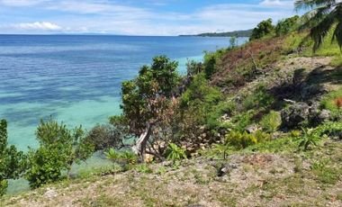 Dalaguete Beach LOT for SALE Dalaguete Cebu