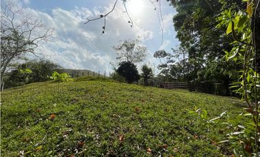 Se Vende Finca de 134 has en La Chorrera; Limite