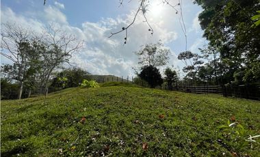 Se Vende Finca de 134 has en La Chorrera; Limite