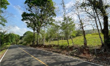 Se Vende Finca de 134 has en La Chorrera; Limite