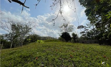 Se Vende Finca de 134 has en La Chorrera; Limite