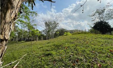 Se Vende Finca de 134 has en La Chorrera; Limite