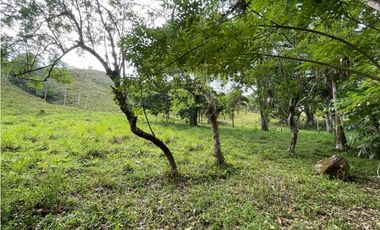 Se Vende Finca de 134 has en La Chorrera; Limite
