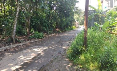 RUMAH CANTIK DI KRANGGAN 2 LT DIJUAL MURAH