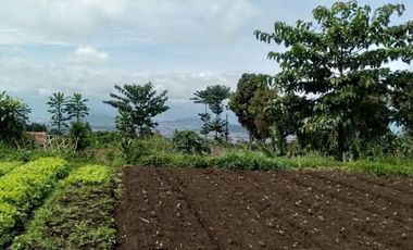 Tanah Kebun View Kota Cimahi Mainroad Kolonel Masturi Bandung Barat