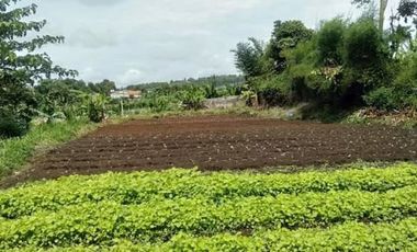 Tanah Kebun View Kota Cimahi Mainroad Kolonel Masturi Bandung Barat