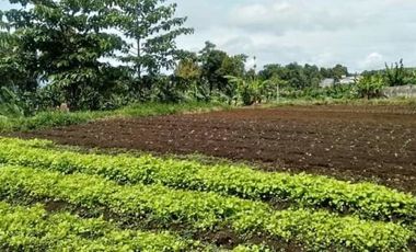 Tanah Kebun View Kota Cimahi Mainroad Kolonel Masturi Bandung Barat