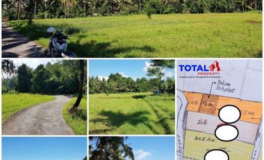 Dijual Tanah Global Luas 1.2 Hektar lokasi Desa Kuwum Ancak, Marga Tabanan