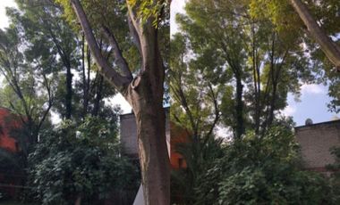 CASA EN VENTA DEL CARMEN COYOACAN