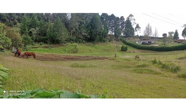 Finca en hermoso lote plano en Guarne Vereda Los Molinos / Los Mejía