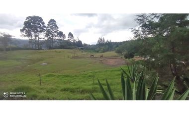 Finca en hermoso lote plano en Guarne Vereda Los Molinos / Los Mejía