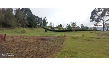 Finca en hermoso lote plano en Guarne Vereda Los Molinos / Los Mejía