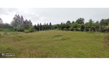 Finca en hermoso lote plano en Guarne Vereda Los Molinos / Los Mejía