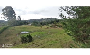 Finca en hermoso lote plano en Guarne Vereda Los Molinos / Los Mejía
