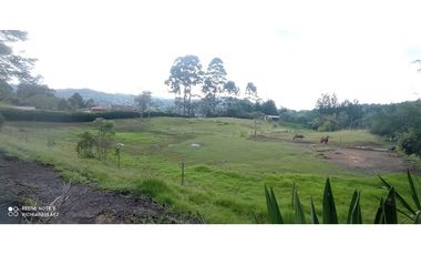 Finca en hermoso lote plano en Guarne Vereda Los Molinos / Los Mejía