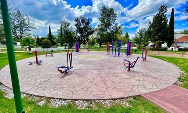 SURPONIENTE EN JARDINES DEL LAGO DE UNA PLANTA