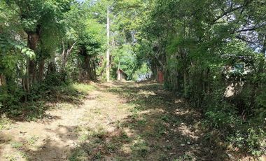 Casa  Económica Sinaí Acapulco