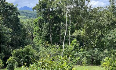 Escape to Tranquility in Capira, West Panama!