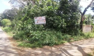 FOR SALE - Vacant Lot in Bagumbong, Caloocan City