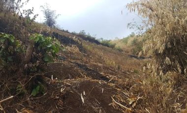 Dijual Cepat Tanah Perumahan 20 Ha Di Cicalengka Bandung