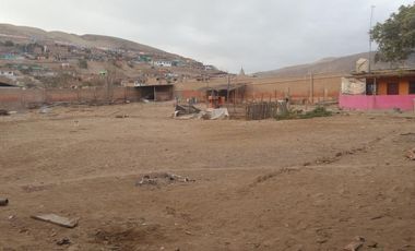Terrenos Industriales Venta CAL. Los Alamos  - PUENTE PIEDRA