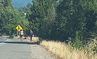 Terreno Construccion  en Venta en Ruta 5 Sur, Loncoche camino a Temuco