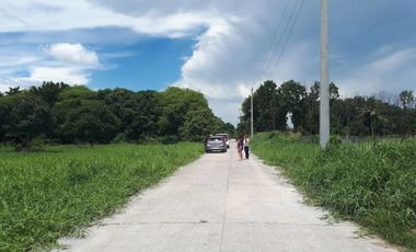 5,059sq.m. Lot Area Clean Title Lot for SALE in Porac Pampan
