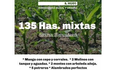 Campo en venta en Ranchos. 135 Has mixto