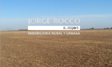 Campo en venta en Ranchos. 135 Has mixto