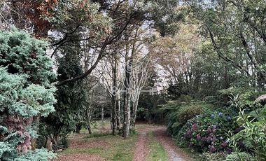 Casa en Venta en Puerto Varas