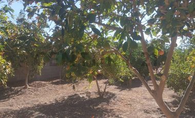 Terreno en Pica