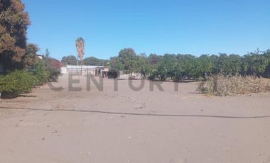 Terreno en Pica