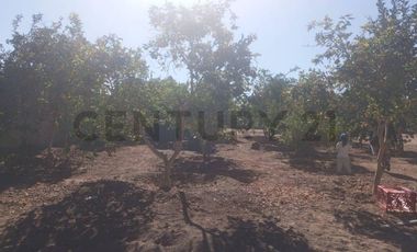 Terreno en Pica