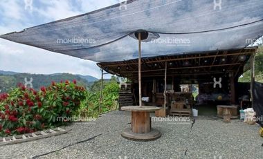 finca en arriendo en belen aguas frias. Cod A67765