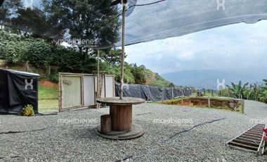 finca en arriendo en belen aguas frias. Cod A67765