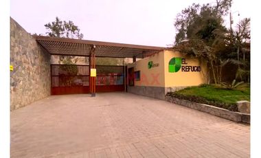 Se Vende Terreno  En Cieneguilla *Indpendizado *Inscrito En Sunarp *Diseña La Casa De Tus Sueno  🌻🍀🏠 *Ocasión