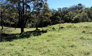 TERRENO EN MATA HAMBRE CHIRIQU