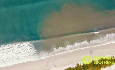 DEPARTAMENTO PREVENTA NUEVO VALLARTA FLAMINGOS / AMAN