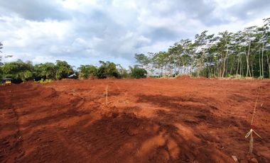 Kapling Perumahan Pekalongan, Dekat Tugu Duren; SHM