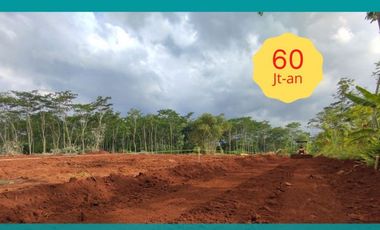 Kapling Perumahan Pekalongan, Dekat Tugu Duren; SHM