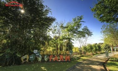 PRESELLING LOT NEAR ENTRANCE GATE FACING EAST D GLADES RIZAL