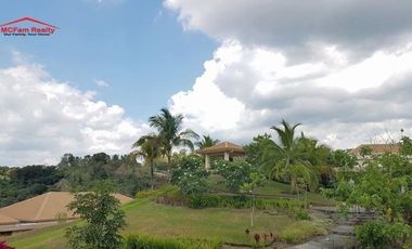 PRESELLING LOT NEAR ENTRANCE GATE FACING EAST D GLADES RIZAL