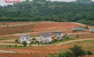 PRESELLING LOT NEAR ENTRANCE GATE FACING EAST D GLADES RIZAL
