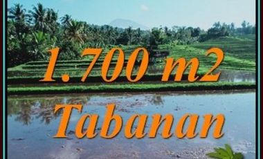 Affordable 1,700 sqm in SELEMADEG TABANAN